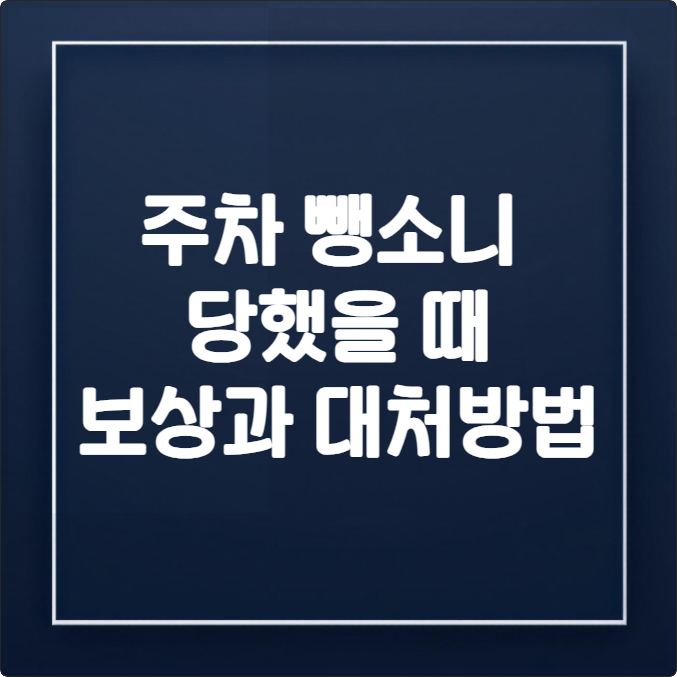 주차 뺑소니 당했을 때, 당황하지 않고 100% 보상받는 법 (물피도주, 범칙금, 벌점)